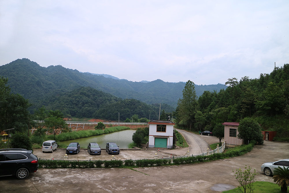 軍峰山茶業