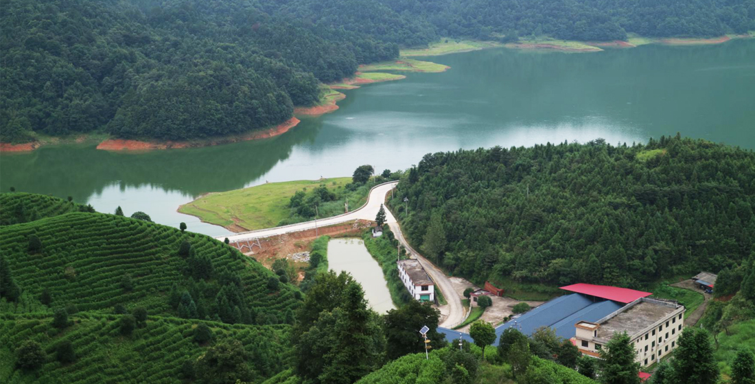 軍峰山茶業(yè)